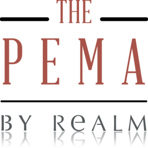 Pema Logo_reflection